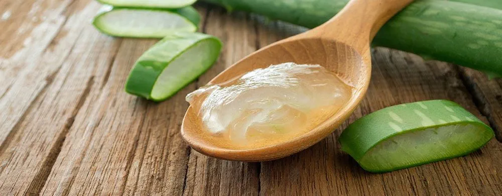 Aloe Vera First Spray: Das Must-Have für jeden Unabhängigen Distributor von Forever Living Products