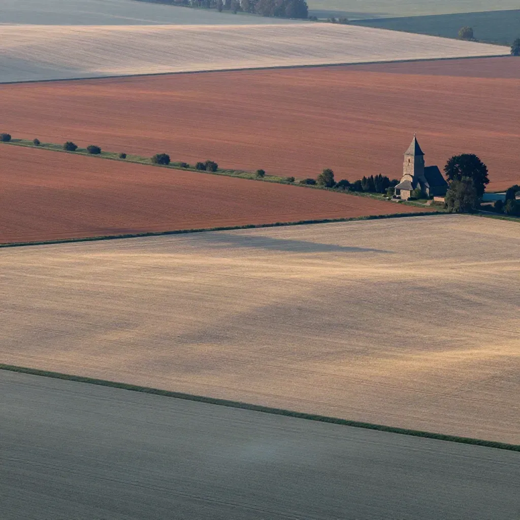 Luftaufnahme von Feldern mit Kirchturm und Nebel, ruhige Fläche für Text.